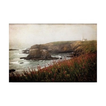 Debra Van Swearingen 'Coastal Mist' Canvas Art,22x32
